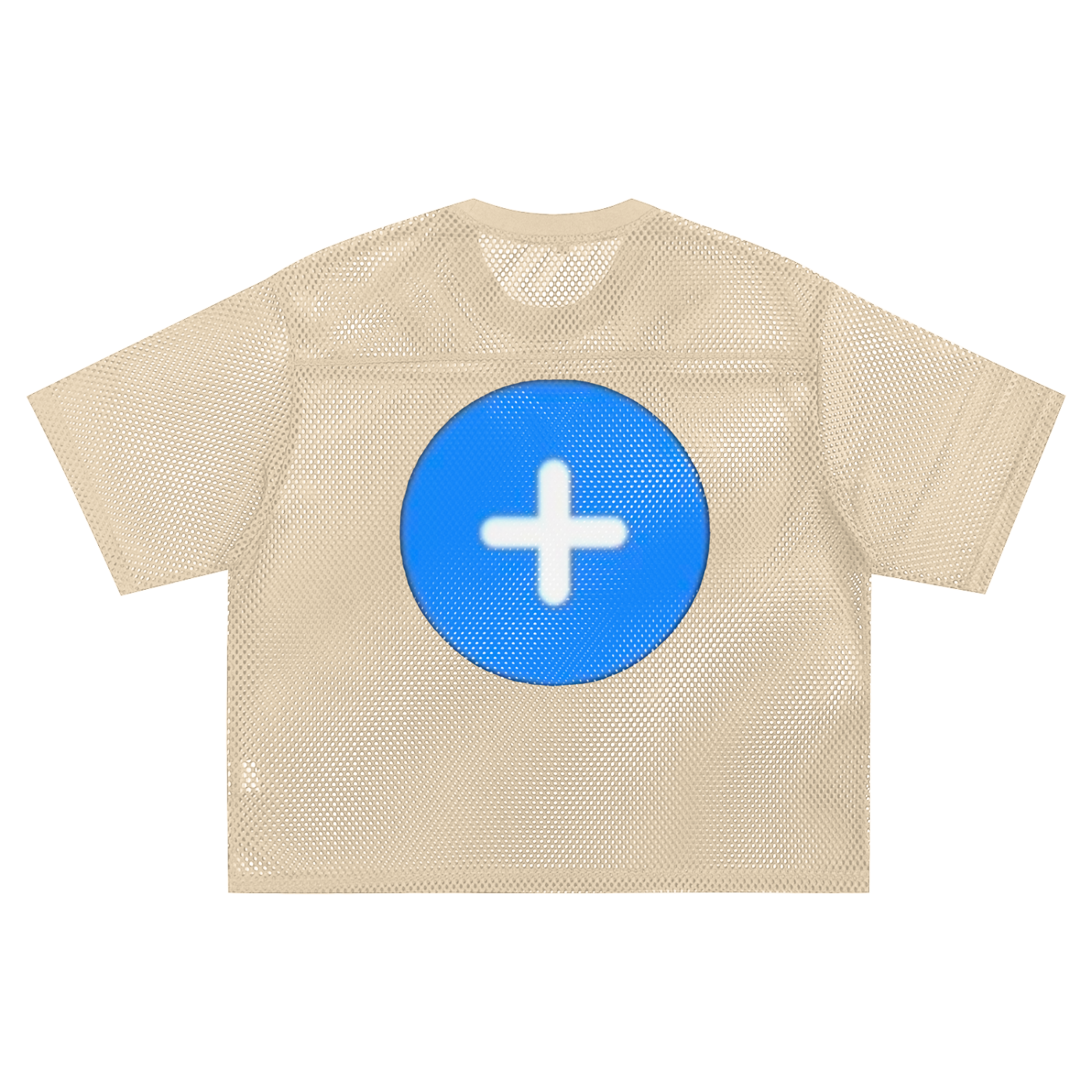 +33 6-17 See-through Boxy Net T-shirt